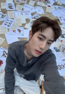 Mark Tuan-007-Attractive